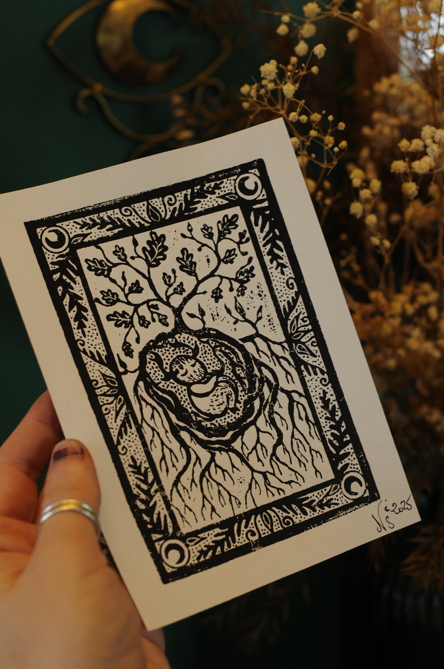Impression sur papier Naissance des Sylvepouces