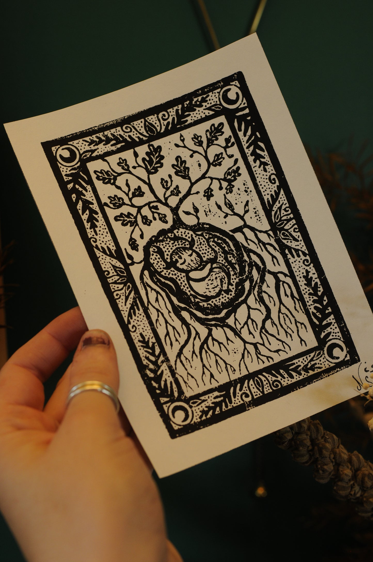 Impression sur papier Naissance des Sylvepouces