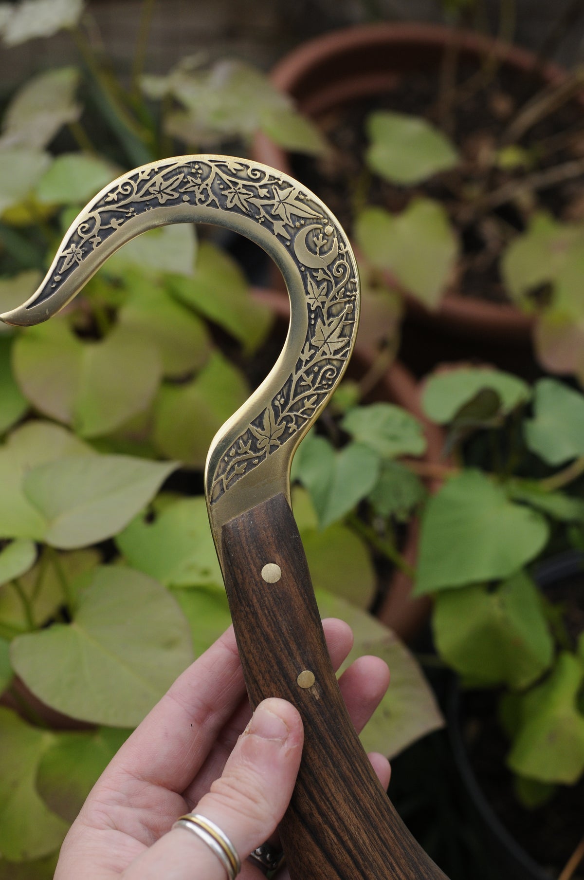 Boline rituelle en laiton gravé et bois de noyer,feuille de lierre