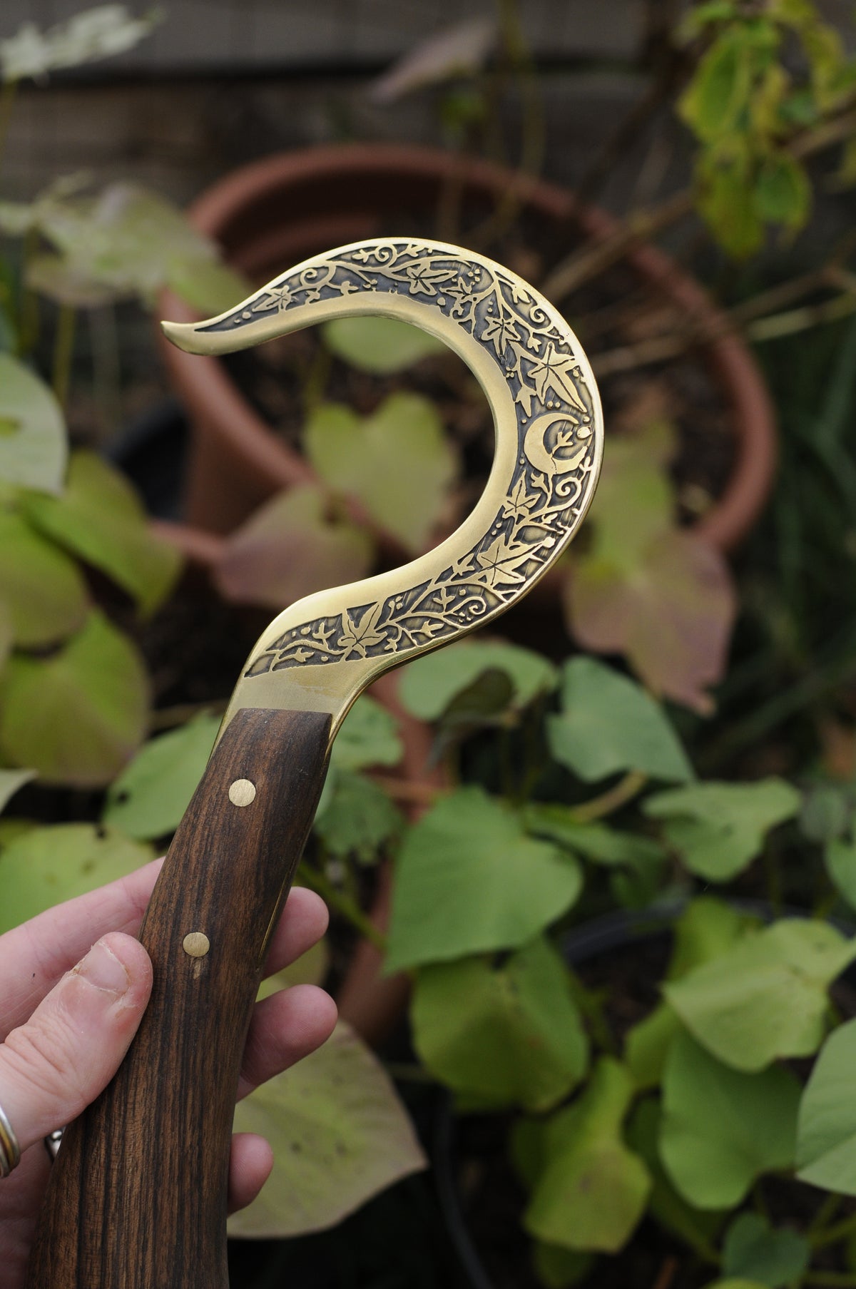 Boline rituelle en laiton gravé et bois de noyer,feuille de lierre