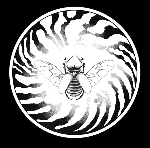 Nautilus & Scarabée