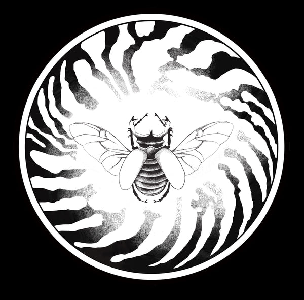 Nautilus & Scarabée